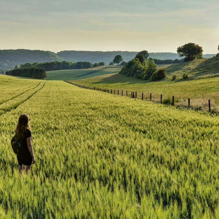 Vrouw staat in een veld en kijkt naar het uitzicht