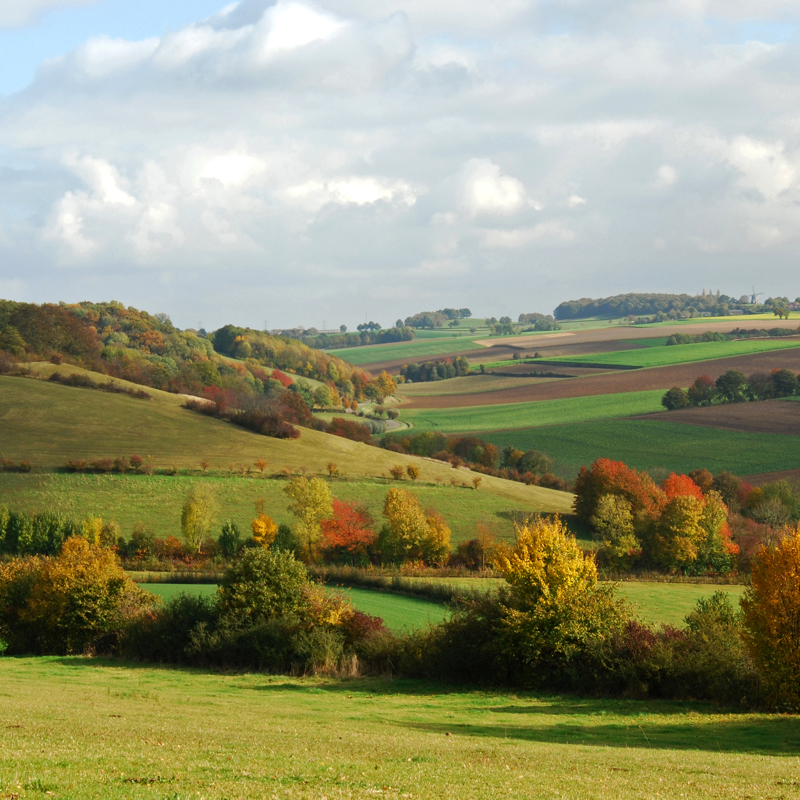 Heuvellandschap Zuid-Limburg in de herfst