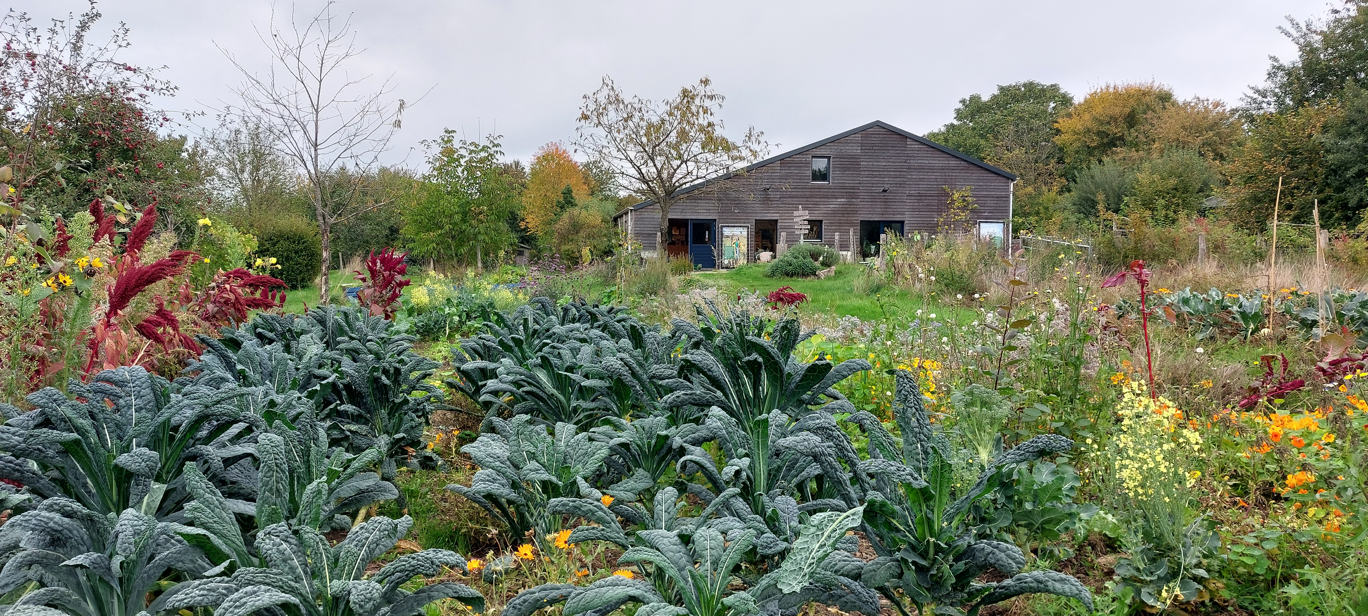 Rondleiding Lubosch Land