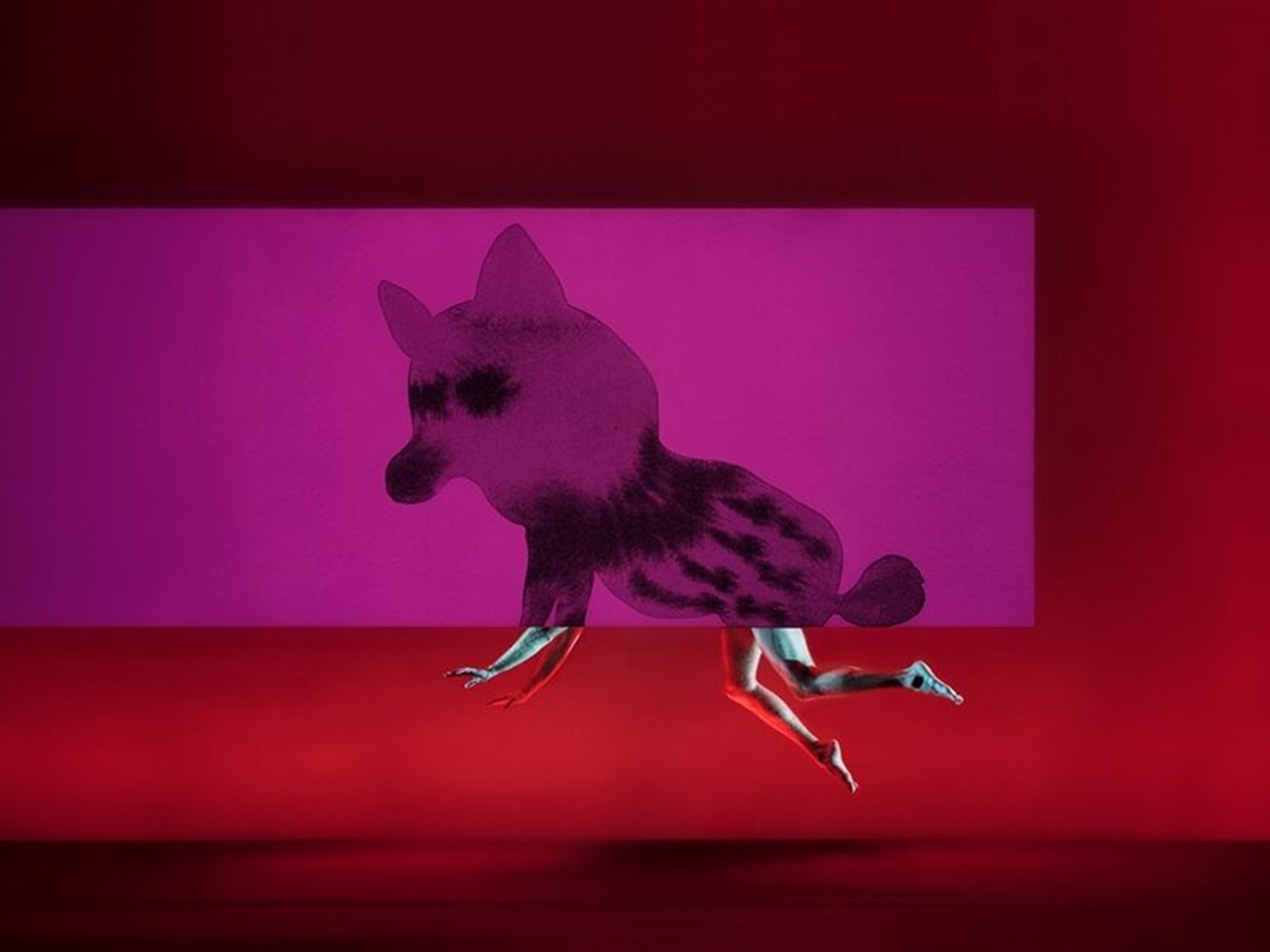 Des chimères dans la tête / Hersenspinsels – Ballet du Nord (FR)