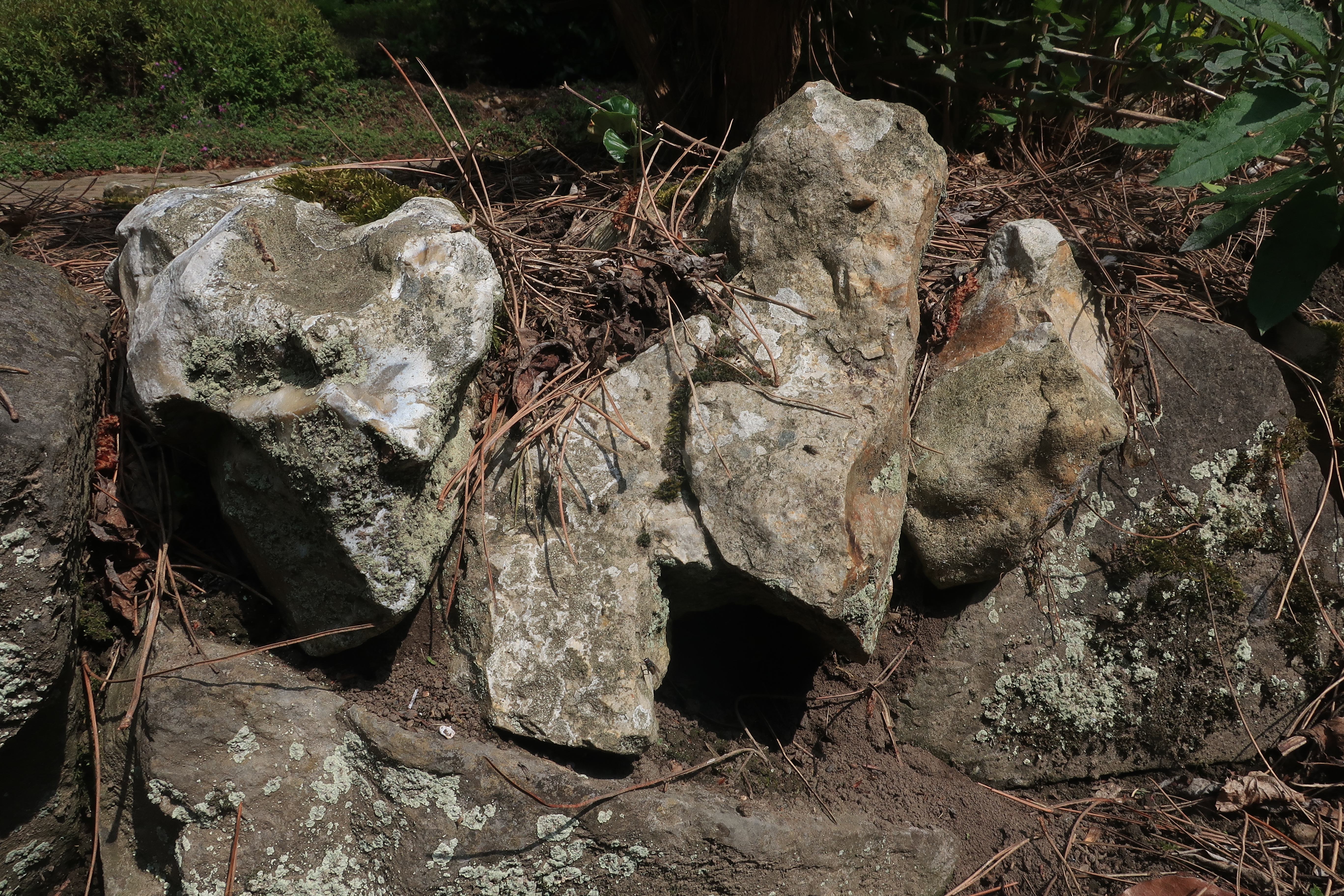 Filmavond: Apple Cider Vinegar