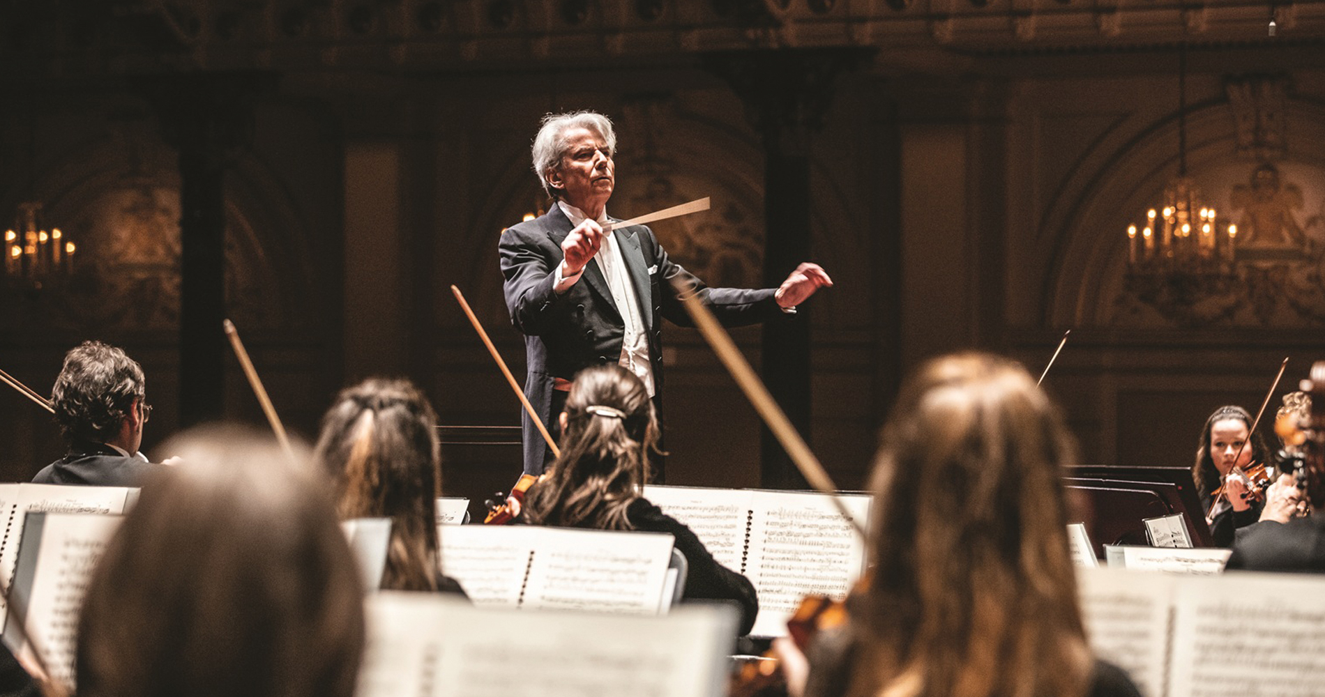 Grote buiging voor Schubert