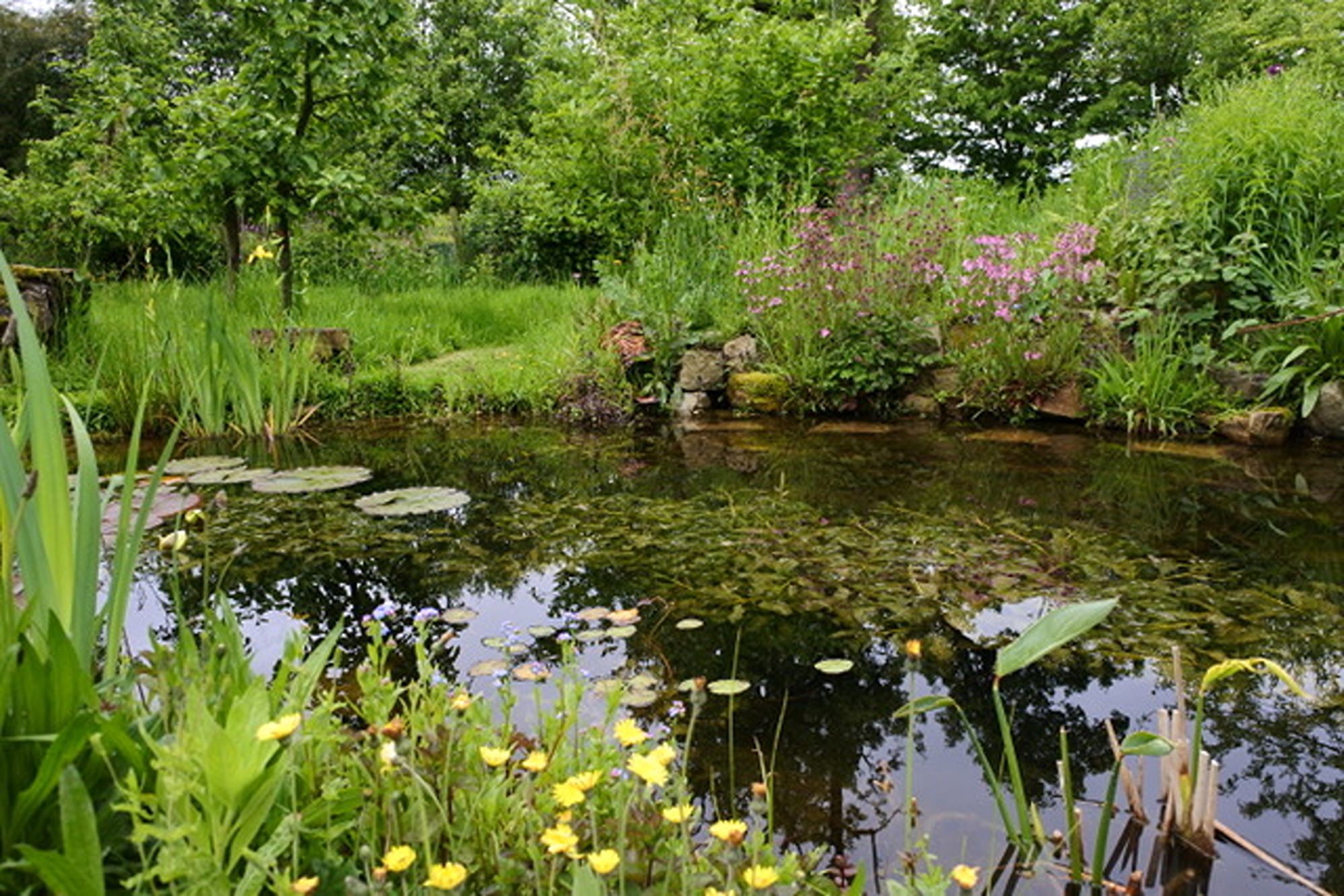 Open tuin Ecotuin Den Hoaf tijdens Ecotuindagen