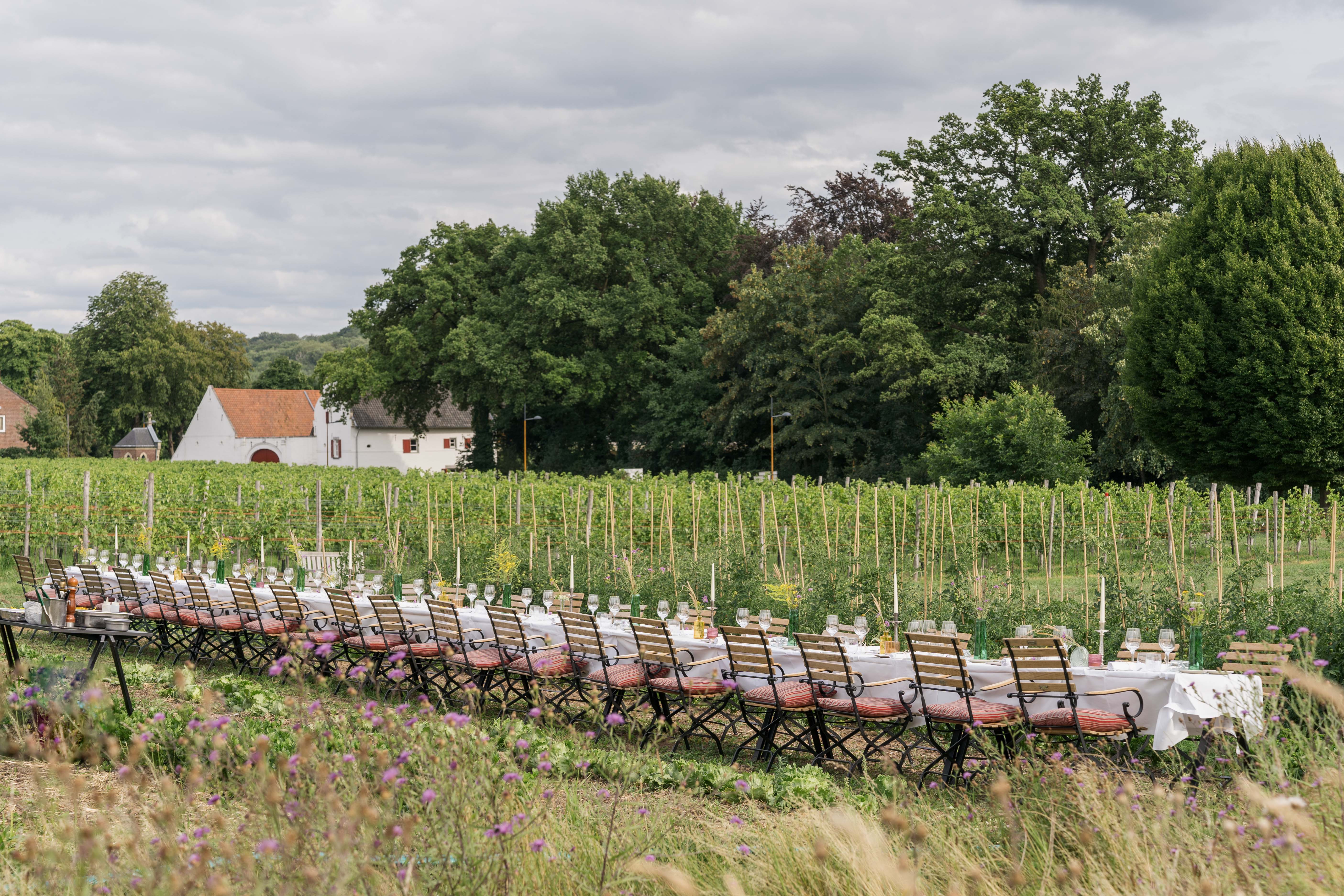 WIJland Harvest Dinner