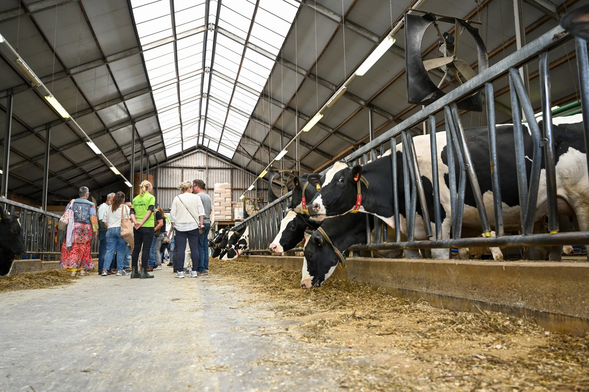 Boerderijkijkdag AJK Zuid-Limburg