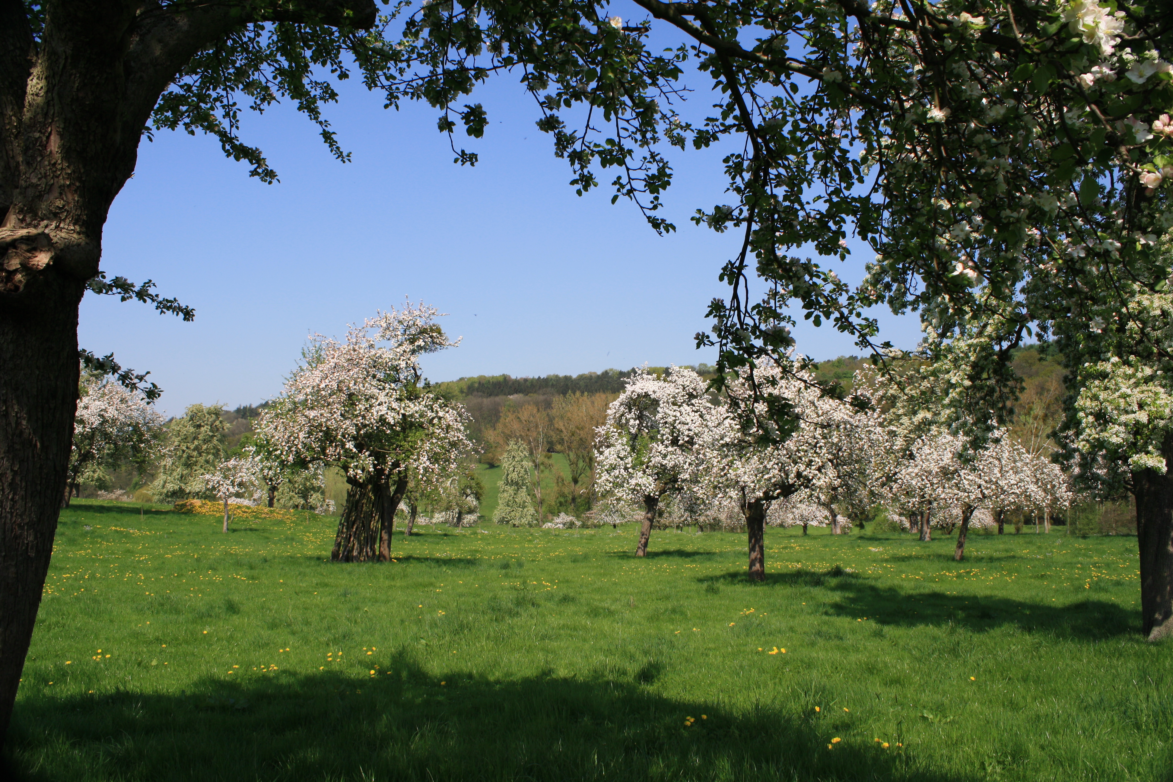 Hoeve Groenendaal