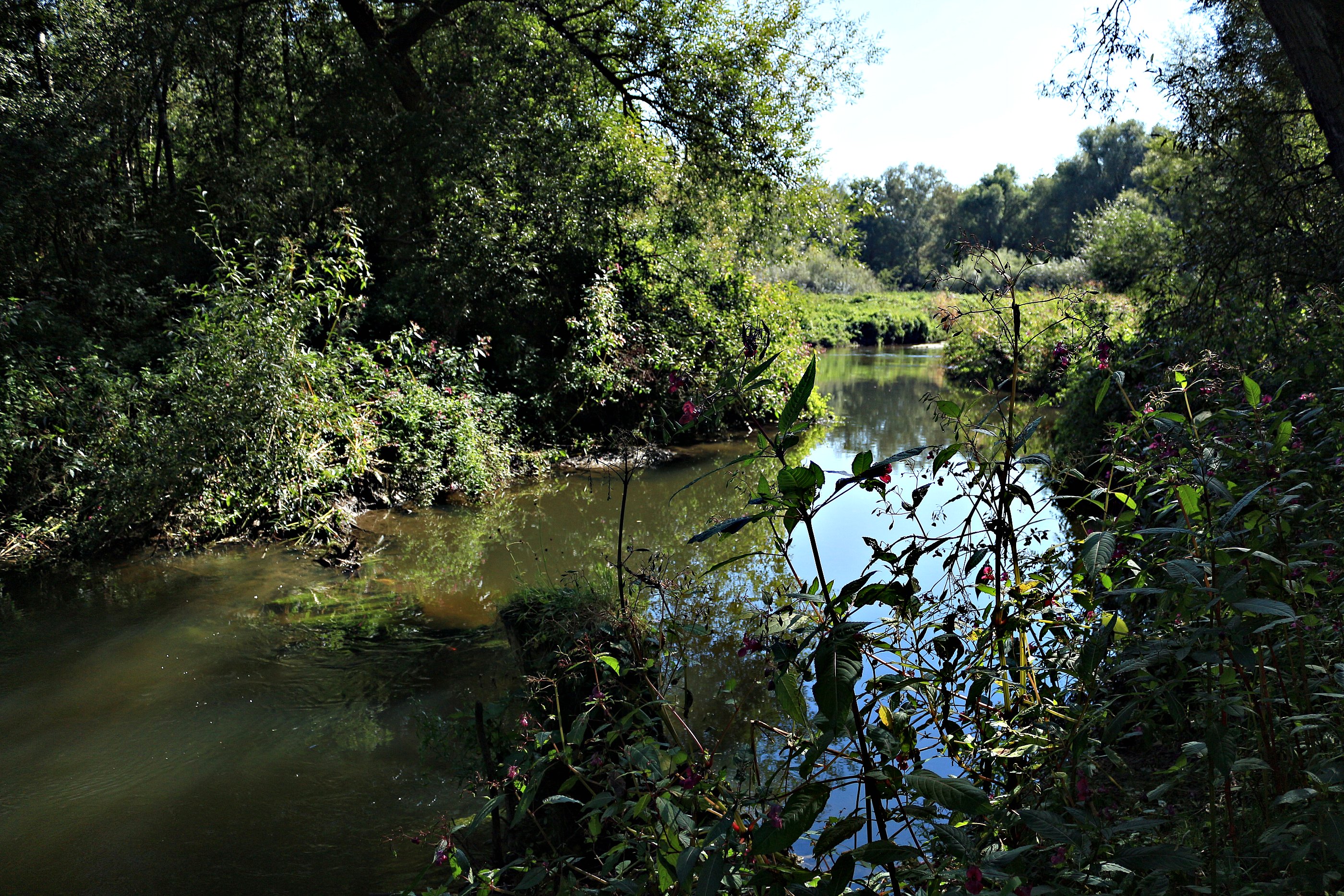 Wandelroute Landgraaf - Wandelen in het Wormdal
