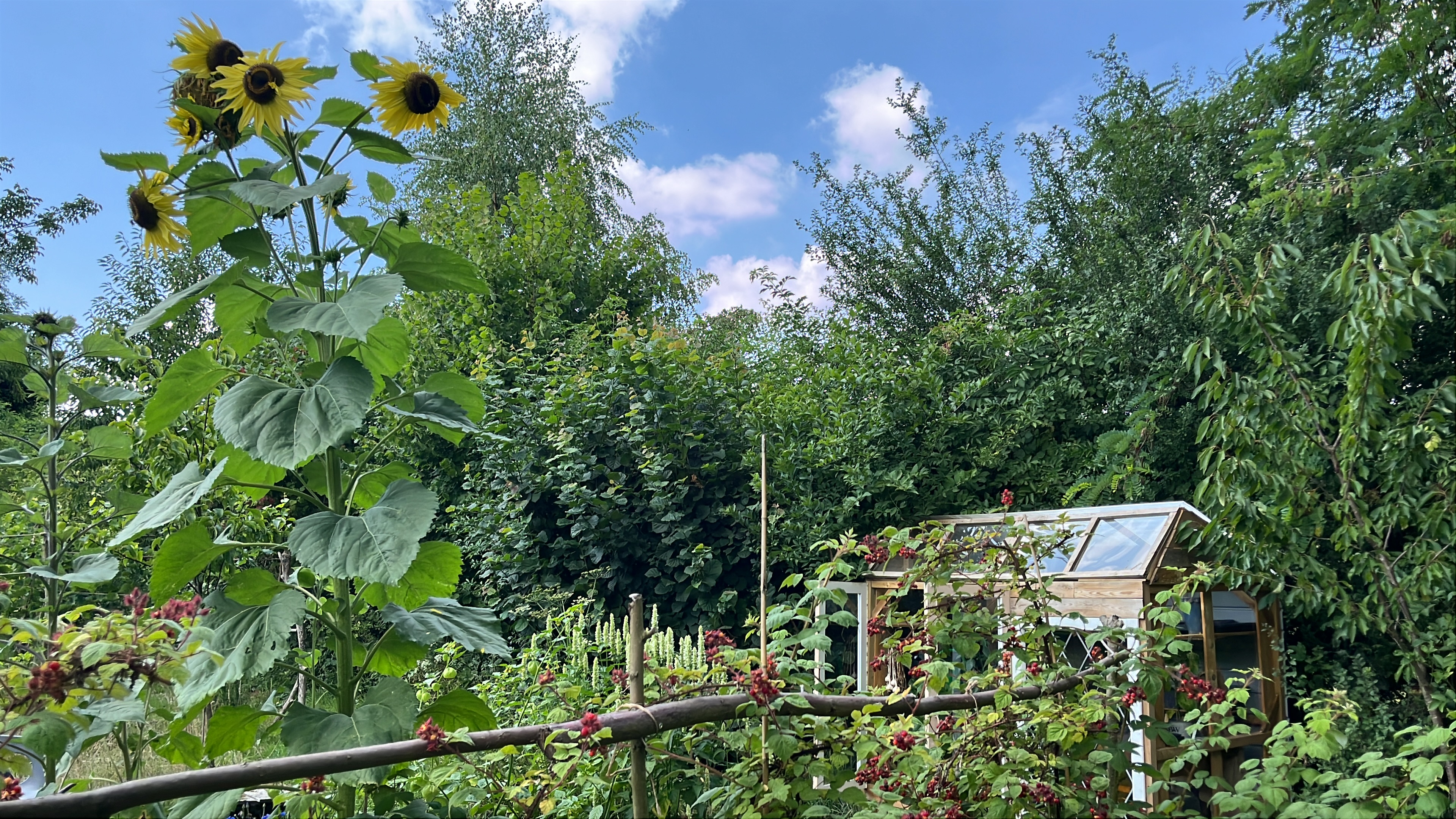 Open tuin Vuurpad tijdens Ecotuindagen