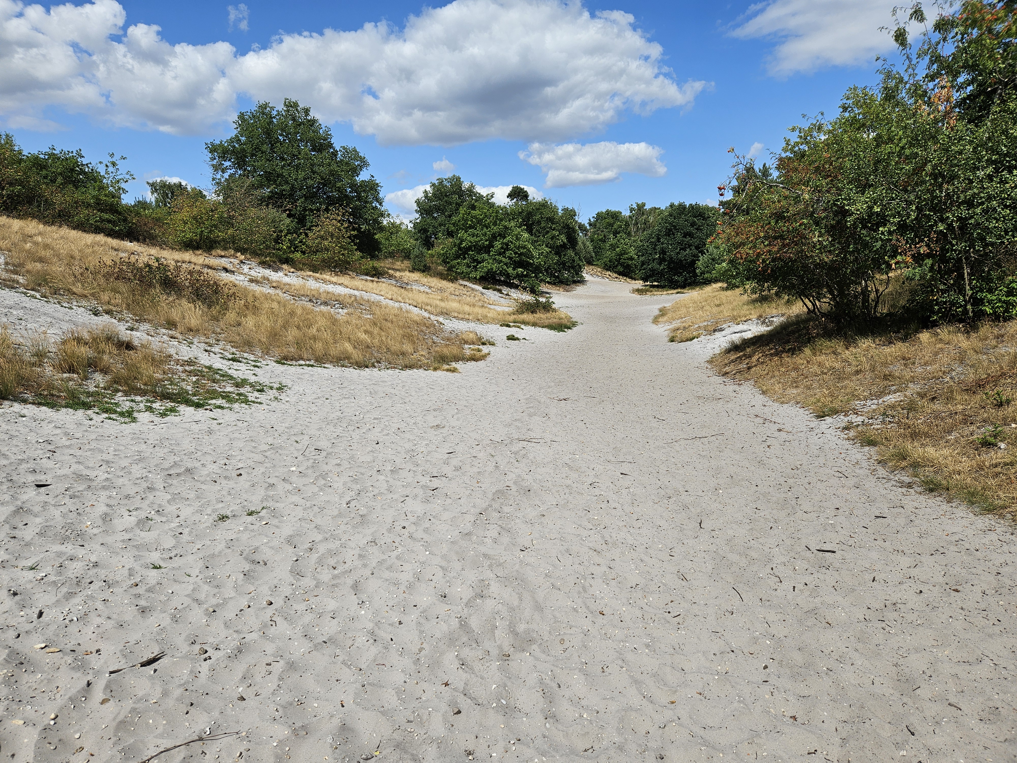 Mindful stiltewandeling: thema ‘Vertrouwen’