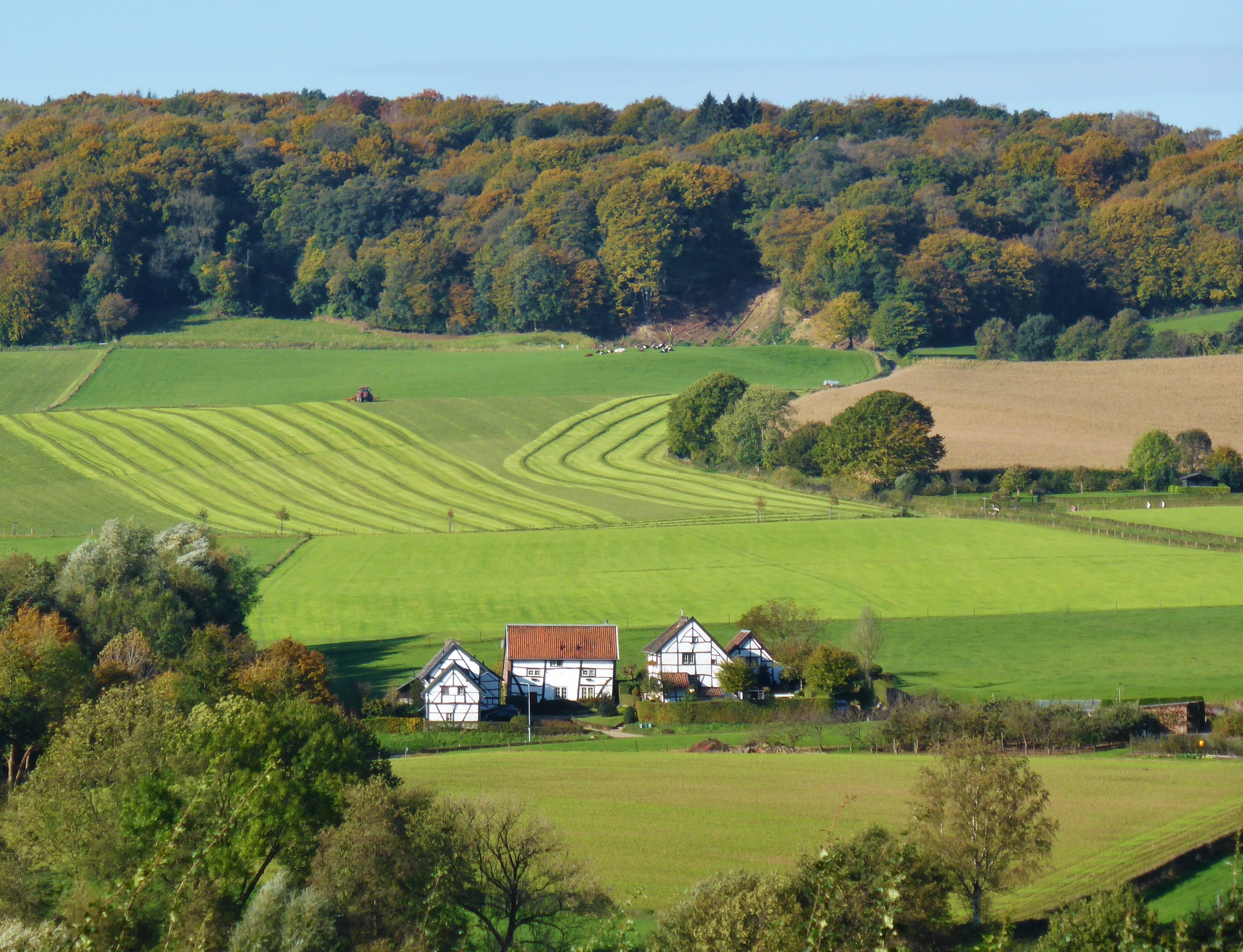 Wandelroute Vaals - Van Camerig tot Cottessen 