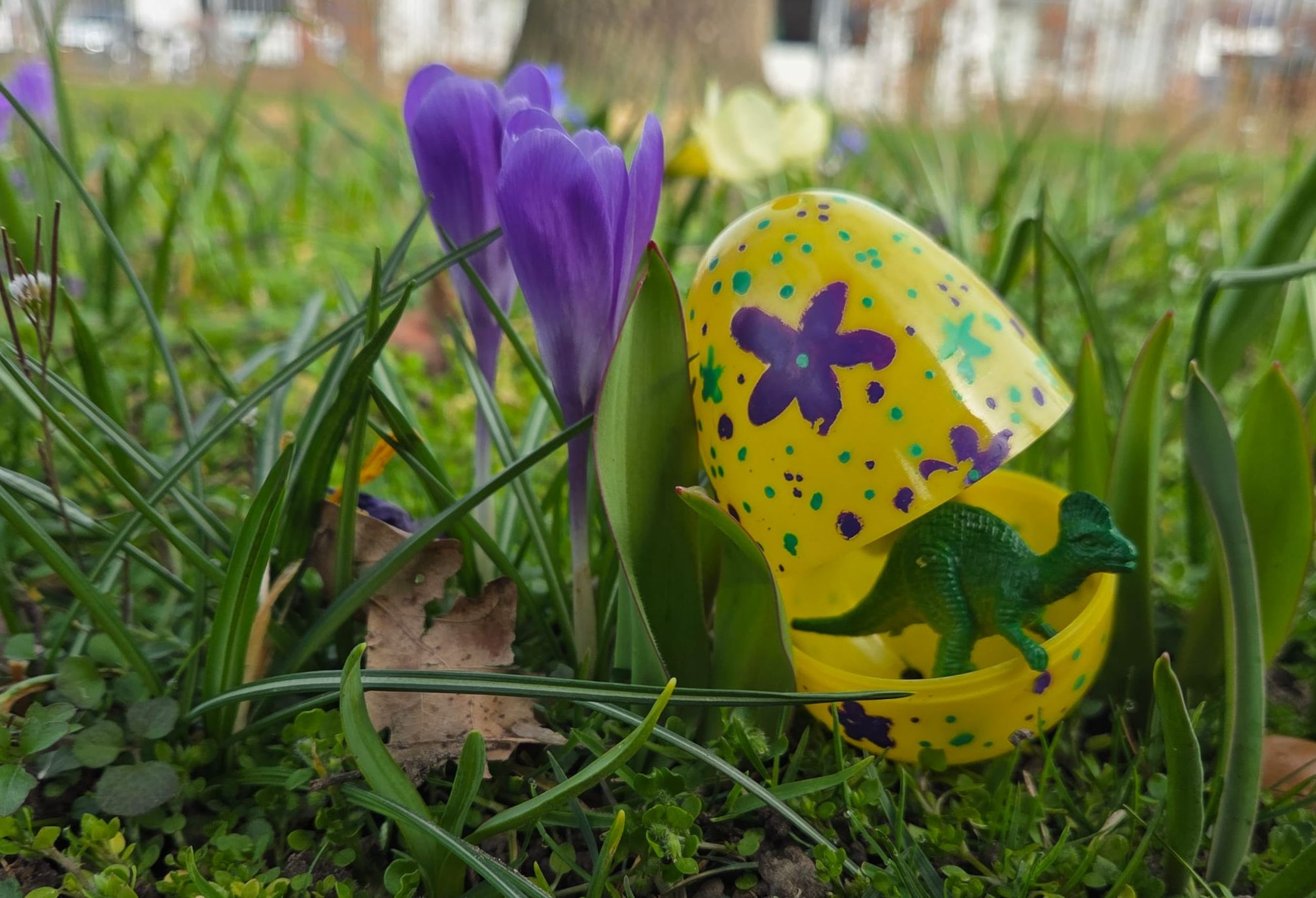 Ei, ei, ei! Een dino ei hoort erbij