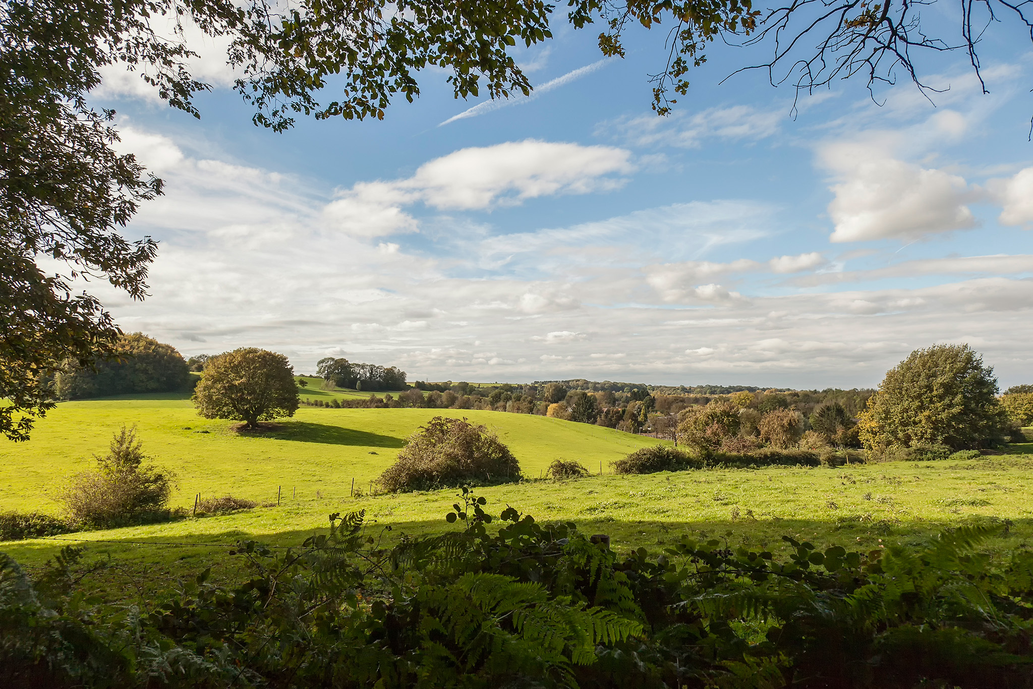 Imstenraderbos, een pareltje van Heerlen
