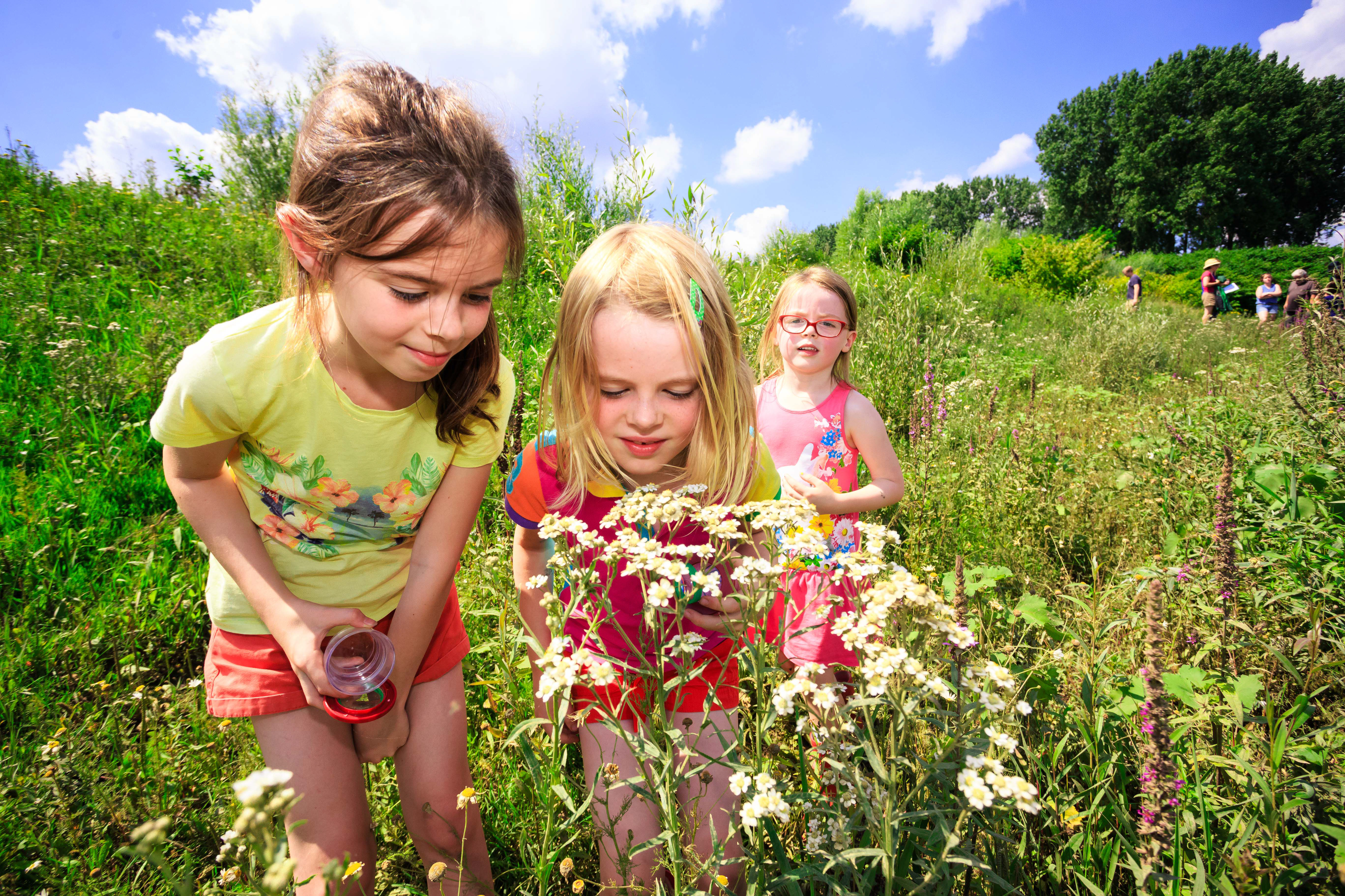 Excursie met MaasVerkenner: RivierPark Maasvallei in Geuren en Kleuren
