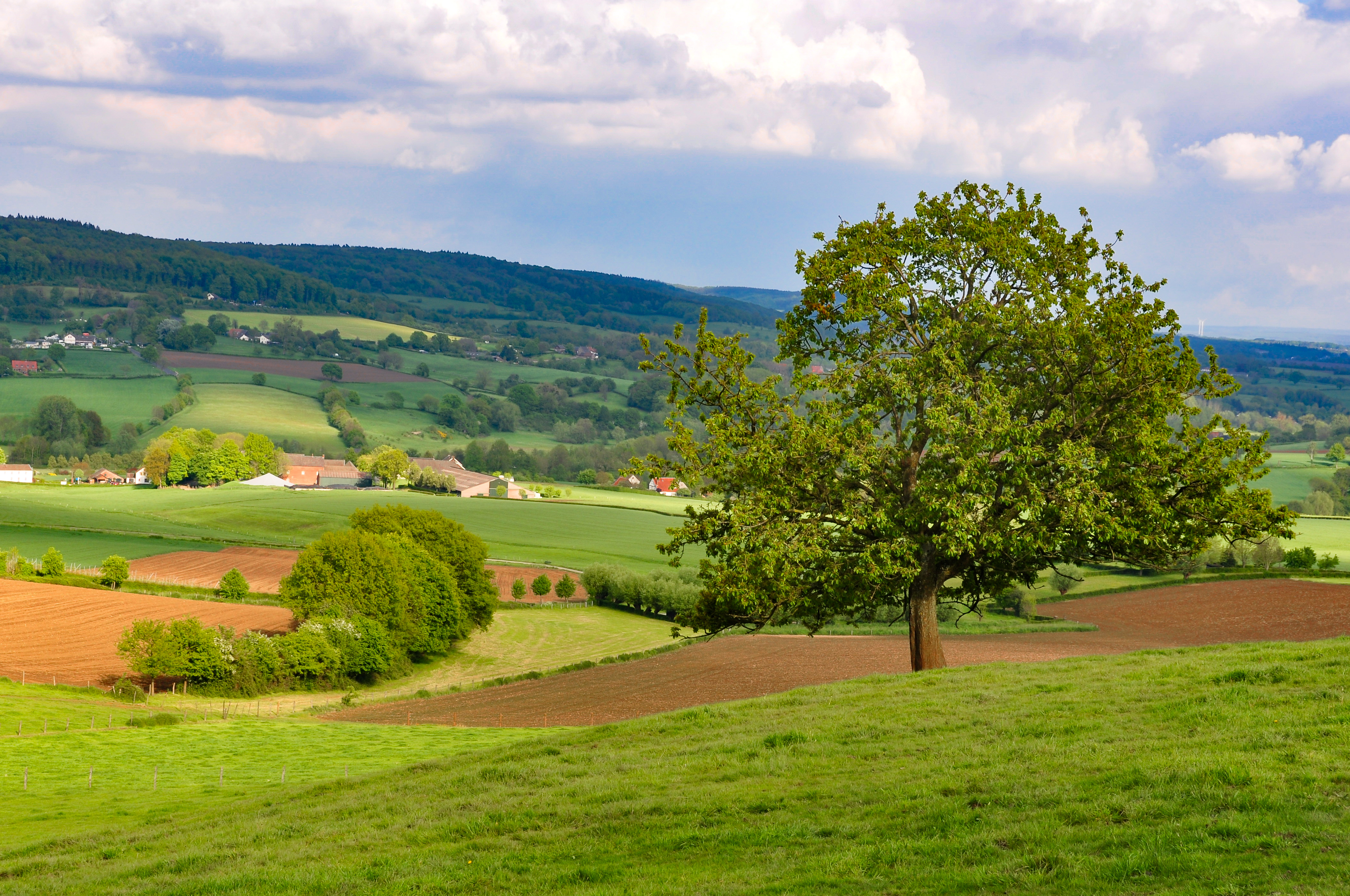 Magnifiek Zuid-Limburg