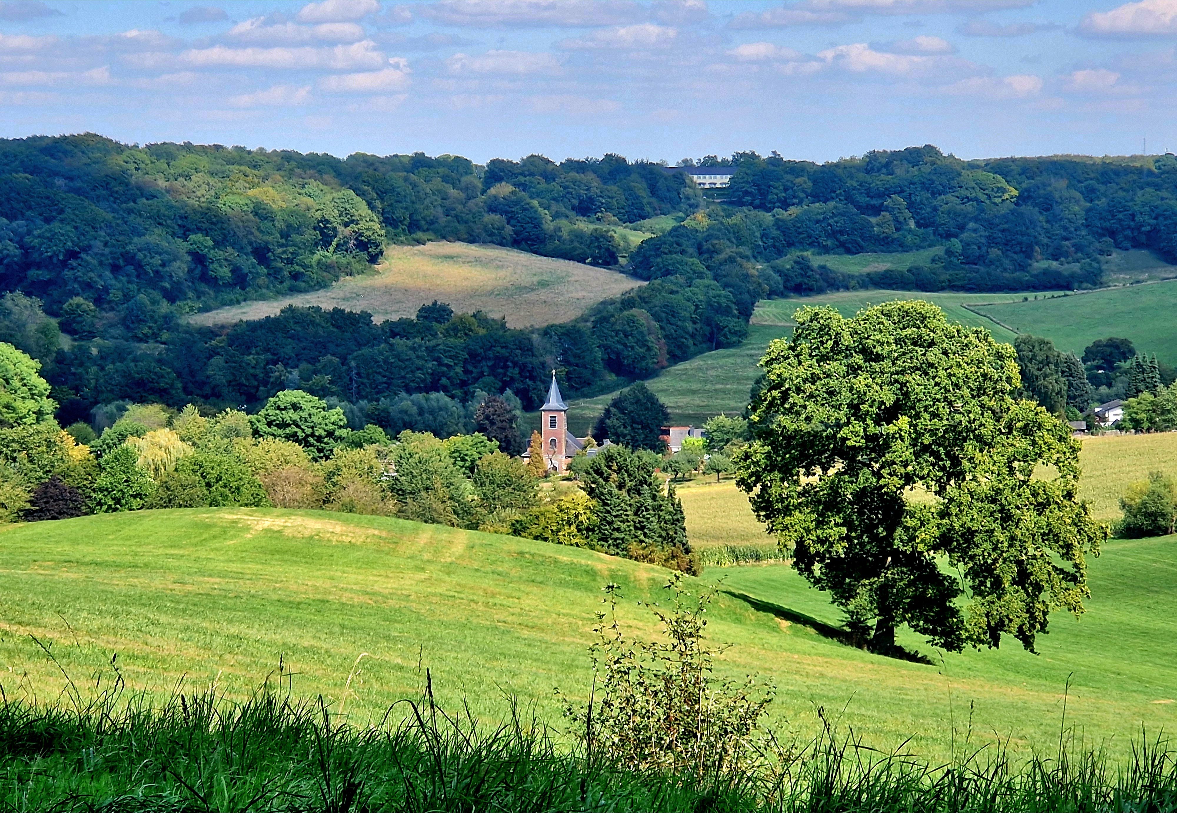Mastreechter Staar Heuvellandconcert