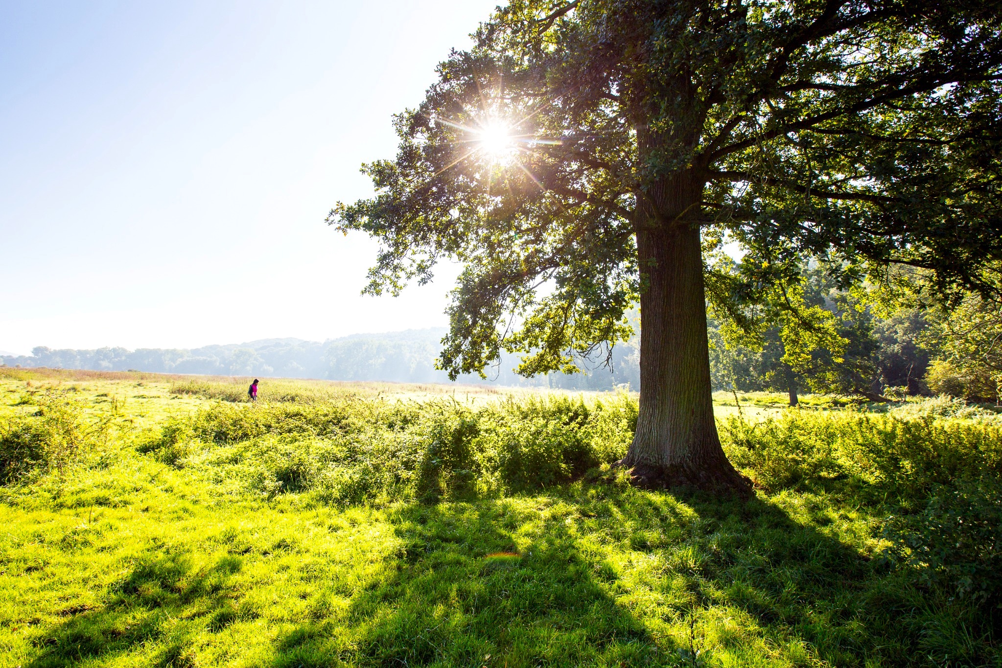 Wandelroute Valkenburg - Geulwandeling Valkenburg