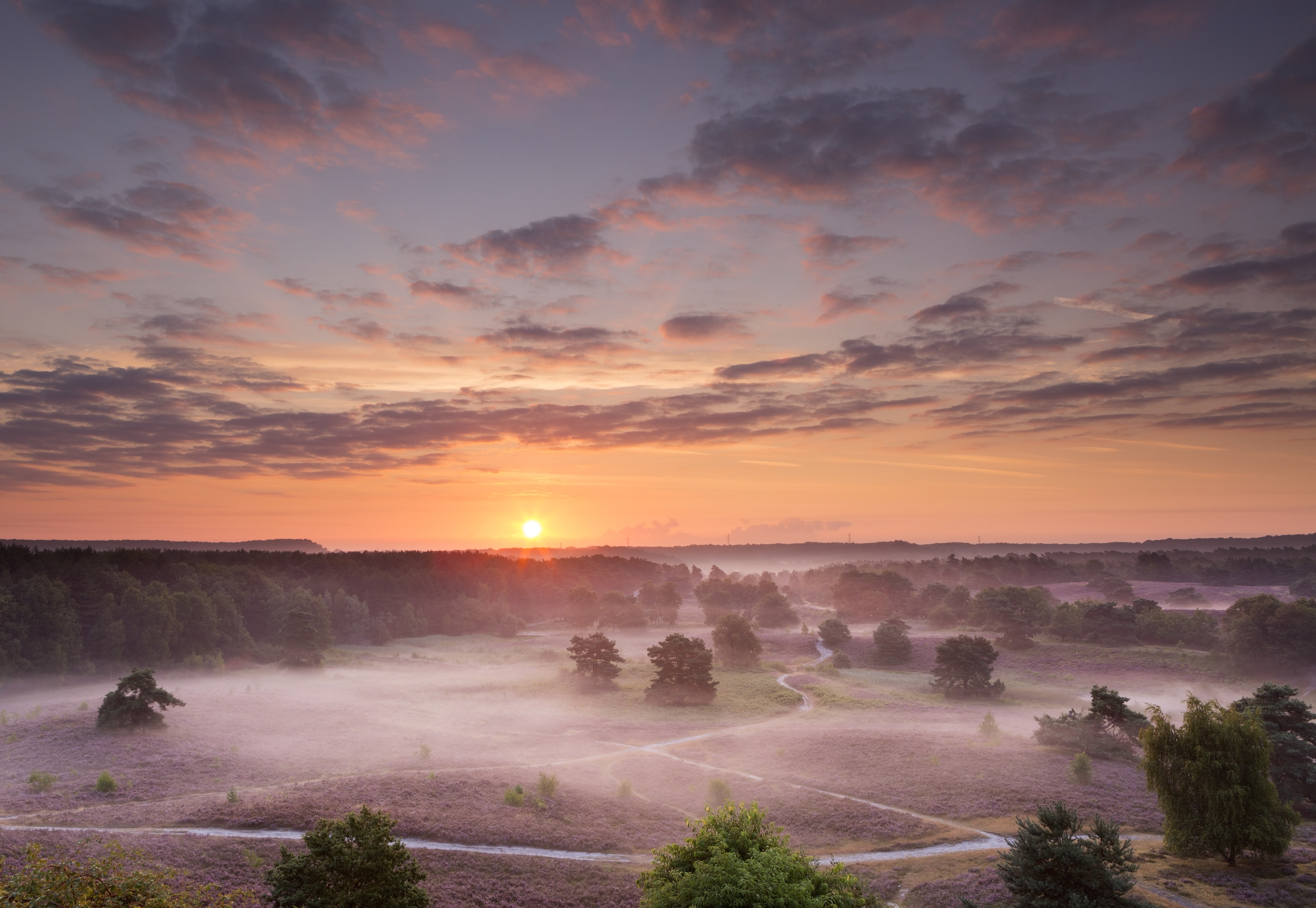 Wandelroute Brunssum - Brunssummerheide en Roode Beek