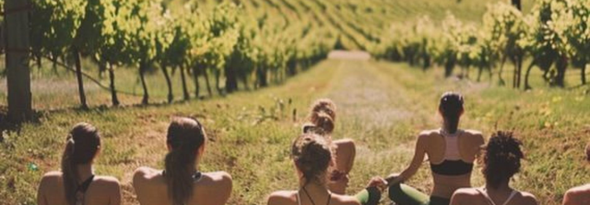 Pilates & Wine