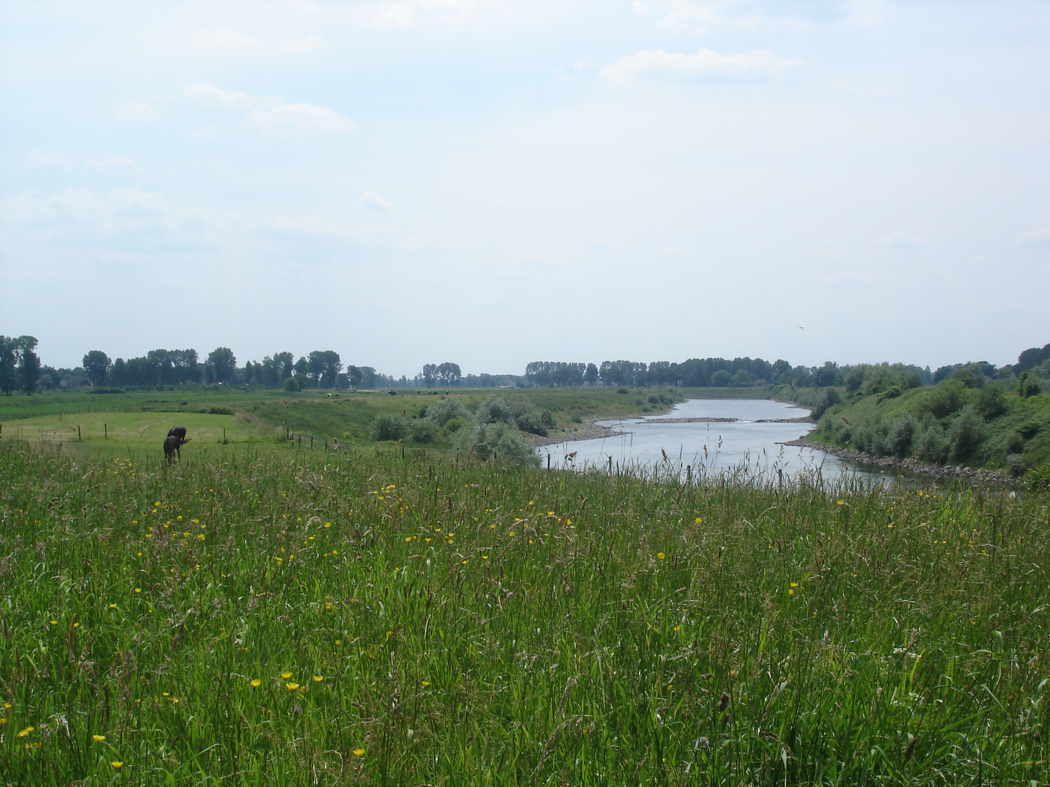 't Oude Veerhuis aan de Maas 