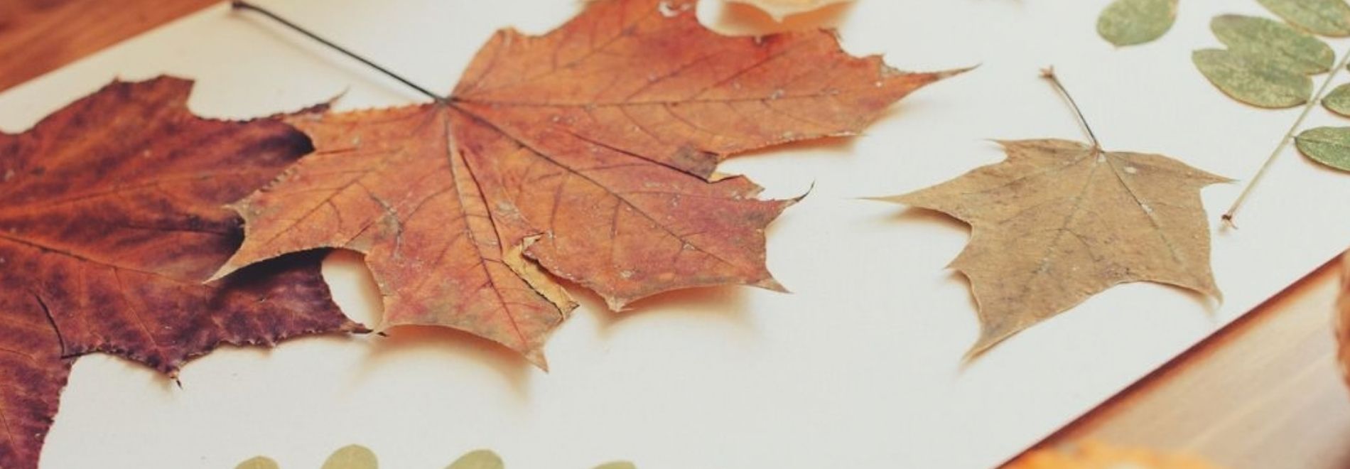 Herfstknutselen (met pannenkoek)