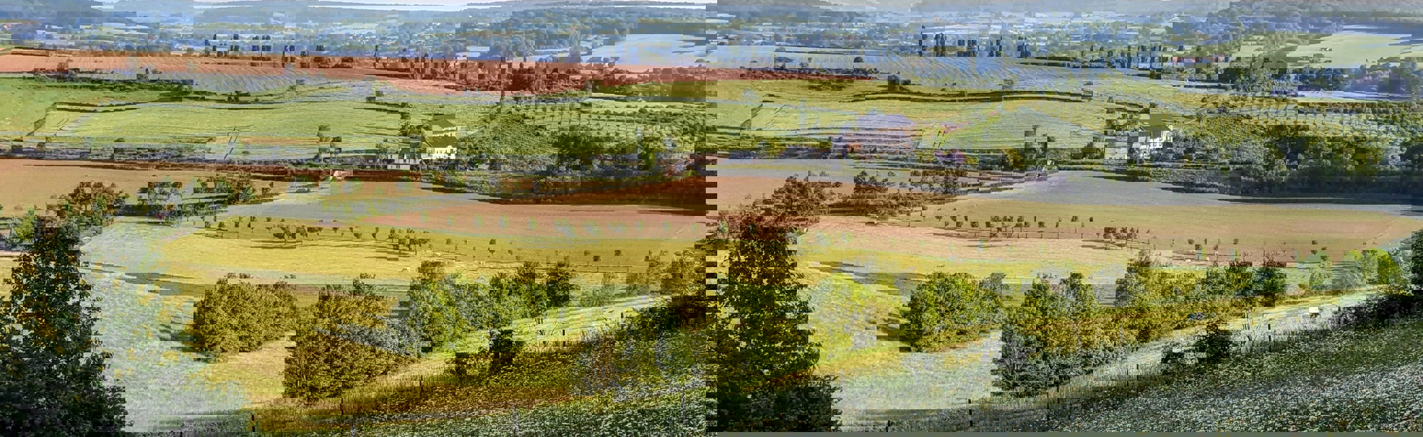  Uitzicht vanaf Eyserbosweg Eys met cypressen in de verte